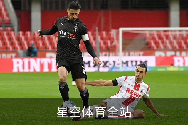 星空体育全站公司简介图片
